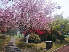 -杭州城北体育公园