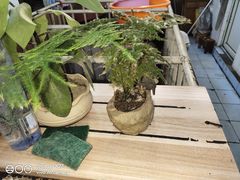 -辣尚瘾·烤鱼·新川菜(交大直营店)