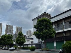 -蛇口市场