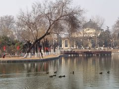 -中国农业博物馆