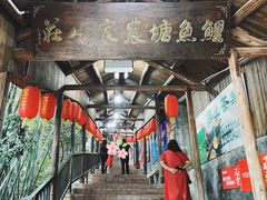 -鲤鱼塘农家山庄