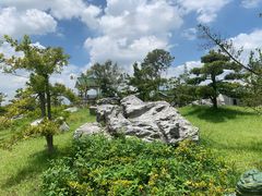 -王借岗森林公园