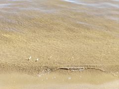 -碧海金沙