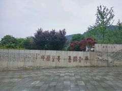 -铁山坪森林公园
