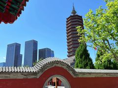 -西海子公园