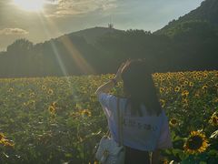 -映月湖中央公园