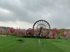 -光明小镇欢乐田园
