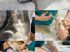 -荔康动物医院(康王北路店)