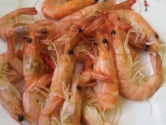 原味海捕大虾-宾朋海鲜饭庄(兴海路店)