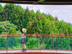 -山王坪喀斯特国家生态公园