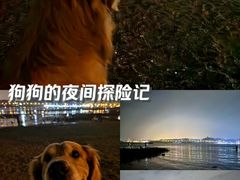 -青岛第一海水浴场
