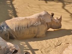 -泉州海丝野生动物世界