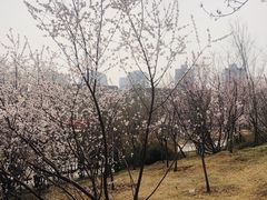 -南翠屏公园