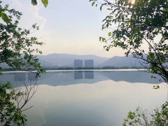 -长兴太湖图影湿地文化园