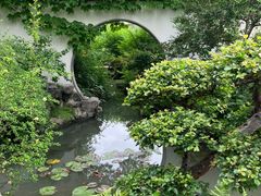 -上海醉白池公园