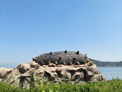 -大连蚂蚁岛度假区