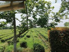 -凤凰沟景区