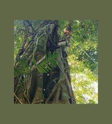 -麦粒鸟亲子游