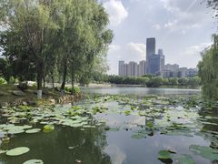 -后襄河公园