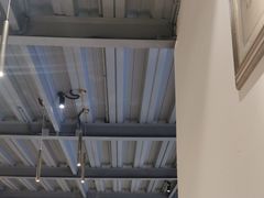 -金塔傣乡·云南民族特色菜·傣味手抓饭(金瓦路店)