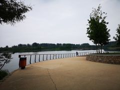 -东郊湿地公园