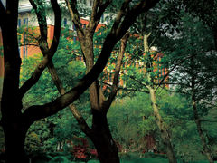 -浙江大学(紫金港校区)