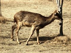 -南京金牛湖风景区