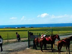 -青海湖国家重点风景名胜区