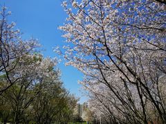 -白塘生态植物园
