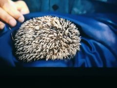 -华美国际影城(旧宫永辉店)