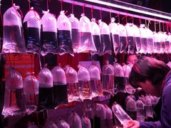 -华声天桥民俗文化园