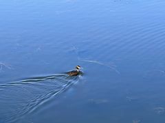 -野鸭湖国家湿地公园
