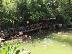 -青瓦房古村落