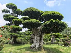 -南宁南湖公园