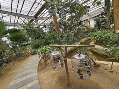 -南宫五洲植物乐园