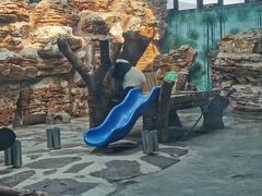 -辛玛王国游乐园