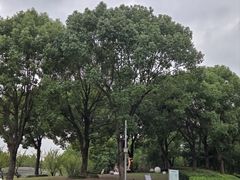 -南翔镇银翔湖公园