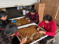 -苏州市吴中区光福窑上花果蜜饯厂