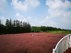 -嘉北郊野公园