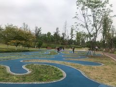 -桂溪生态公园