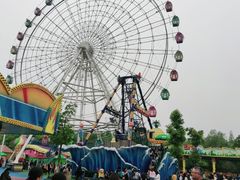 -洋湖国家湿地公园