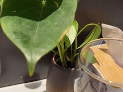 -眉州东坡(远洋未来广场店)