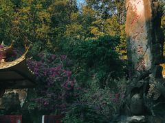 -龙门水都景区