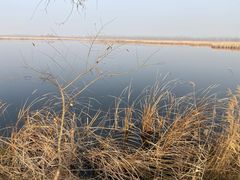 -野鸭湖国家湿地公园