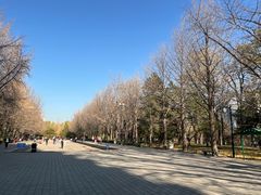 -玲珑塔公园