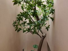 -宫七SPA·高端Massage(浦东大道店)
