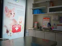-喜多萌中农锦绣动物医院24H·猫科·牙科MRI·CT
