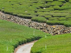 -优游吧斯邹族文化部落