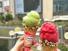 -哈根达斯(深圳海岸城店)