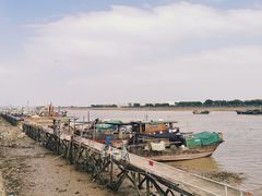 -大湾区中央湿地公园-十九涌